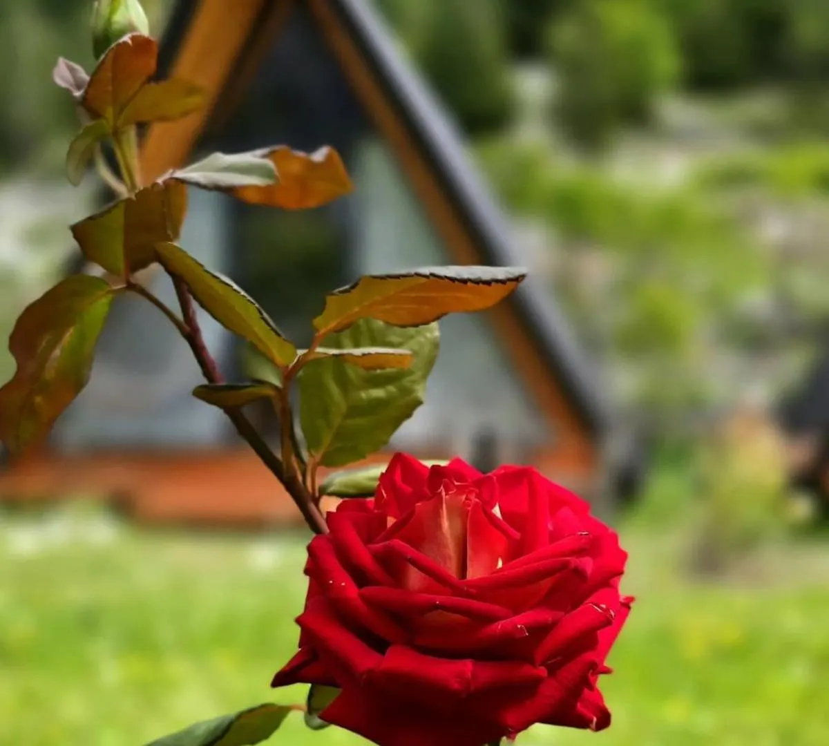 Tatil Evi Thethi Sky Lodge House 2 Arnavutluk